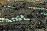 Polished Turquoise in Matrix Slab - Nevada #371570-1